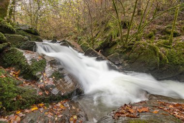 Sonbaharda Exmoor Ulusal Parkı 'ndaki Watersmmet' te Hoar Oak Nehri 'nde bir şelaleye uzun süre maruz kalmak
