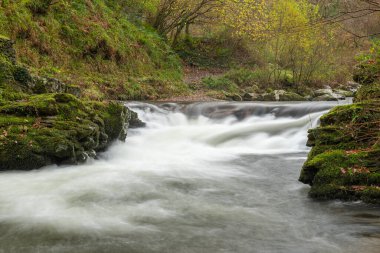 Doğu Lyn nehrinin üzerinde Exmoor Ulusal Parkı 'ndaki Watersmeet' te akan şelalenin uzun pozu