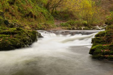 Doğu Lyn nehrinin üzerinde Exmoor Ulusal Parkı 'ndaki Watersmeet' te akan şelalenin uzun pozu