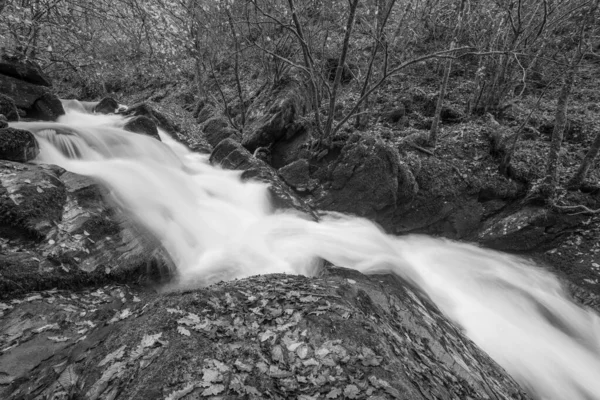 Lång Exponering Ett Vattenfall Hoar Oak Water Floden Vid Watersmmet — Stockfoto