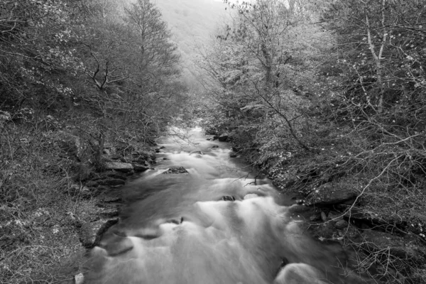 Long Exposure East Lyn River Flowing Woods Watersmeet Exmoor National — Stock Photo, Image