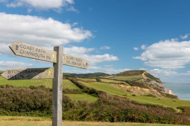 Dorset 'teki Jurassic Sahili' ndeki Golden Cap dağını gösteren bir patika işaretini kapat.