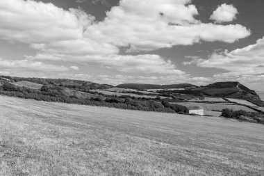 Dorset 'teki Jurassic Sahili' ndeki Altın Cap dağının manzara fotoğrafı.