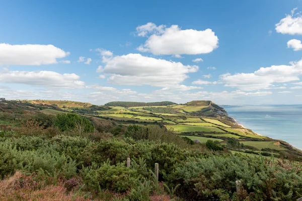 Dorset Teki Jurassic Sahili Ndeki Altın Cap Dağının Manzara Fotoğrafı — Stok fotoğraf