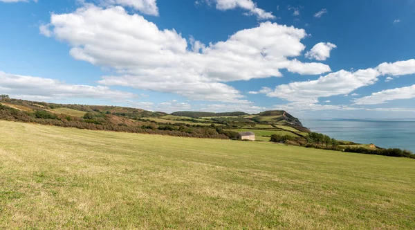 Dorset 'teki Jurassic Sahili' ndeki Altın Kapak dağının panoramik fotoğrafı