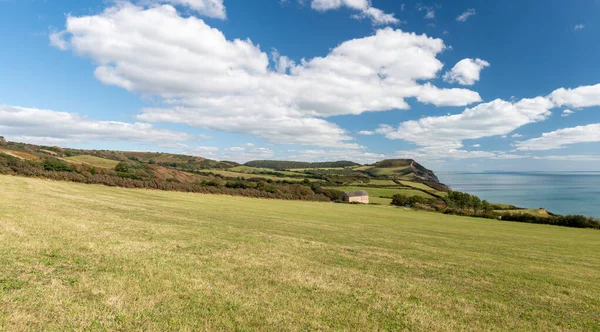 Dorset 'teki Jurassic Sahili' ndeki Altın Kapak dağının panoramik fotoğrafı