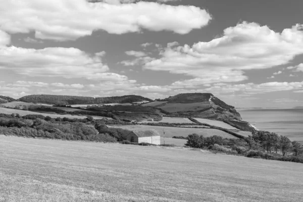 Dorset 'teki Jurassic Sahili' ndeki Altın Cap dağının manzara fotoğrafı.
