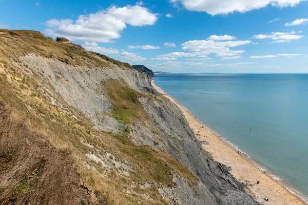 Paisaje Los Acantilados Costa Jurásica Dorset — Foto de Stock