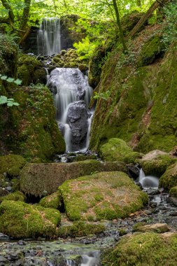 Dartmoor 'daki Canonteign Şelalesi' nde uzun süreli Clampitt Falls şelalesi