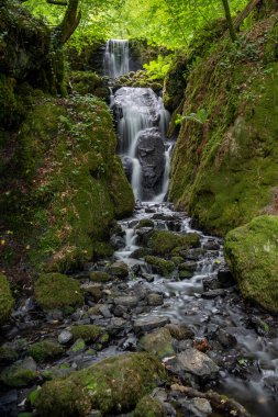 Dartmoor 'daki Canonteign Şelalesi' nde uzun süreli Clampitt Falls şelalesi
