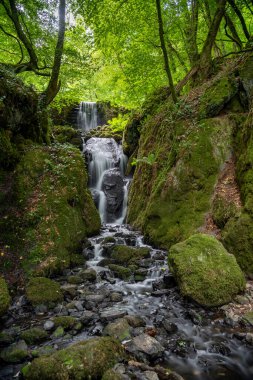 Dartmoor 'daki Canonteign Şelalesi' nde uzun süreli Clampitt Falls şelalesi