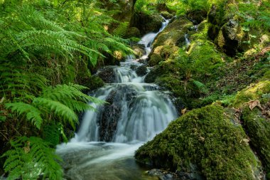 Dartmoor 'daki Canonteign Şelalesi' nde bir şelalenin uzun süre açıkta kalması.