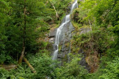 Şelalenin Dartmoor 'daki Canonteign Şelalesi' ndeki uçurumdan akışı uzun sürdü.