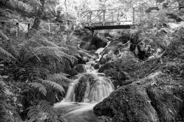 Longa Exposição Uma Cachoeira Que Flui Sob Uma Ponte Canonteign — Fotografia de Stock