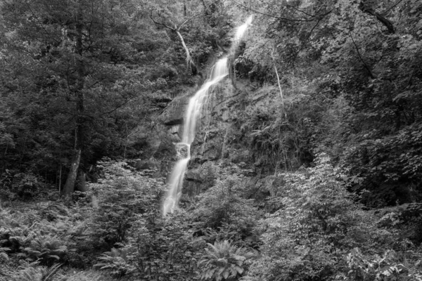 ダートムーアのCanonteignの滝で崖の上を流れる滝の長い露出 — ストック写真