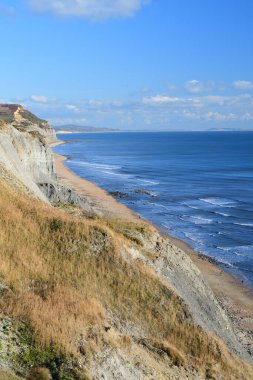 Açık güneşli bir günde Dorset sahil şeridinin manzarası