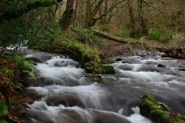 Lång Exponering Floden Rinner Genom Horner Skogen Somerset — Stockfoto