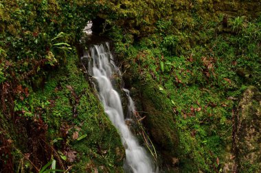 Somerset, Yeovil 'deki Ninesprings şelalesinde uzun süre bir şelale görüldü.