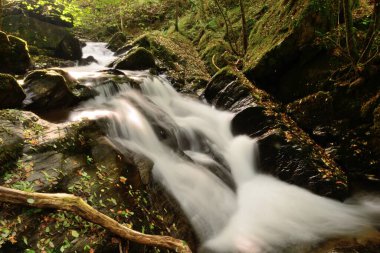 Exmoor Ulusal Parkı 'ndaki Watersmeet ormanında uzun süre bir şelale görüldü.
