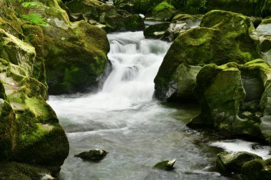 Devon 'daki Watersmeet' te uzun süre bir şelale görülmüş.