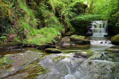Devon 'daki Watersmeet Şelalesi' nde uzun süre görülmüş.