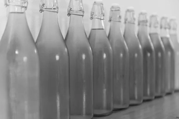 Black and white photo of a row of flip top bottles of home made cider covered in condensation