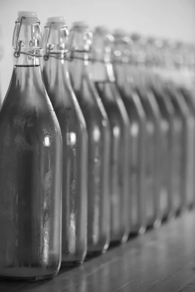 Black and white photo of a row of flip top bottles of home made cider covered in condensation
