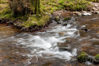 Somerset 'teki Horner Ormanı' ndan akan Horner Nehri 'nin uzun pozu