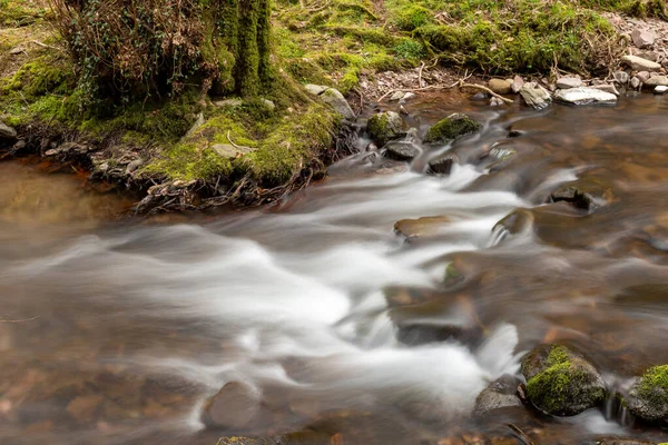 Lange Blootstelling Van Horner Water Rivier Stroomt Door Horner Bossen — Stockfoto