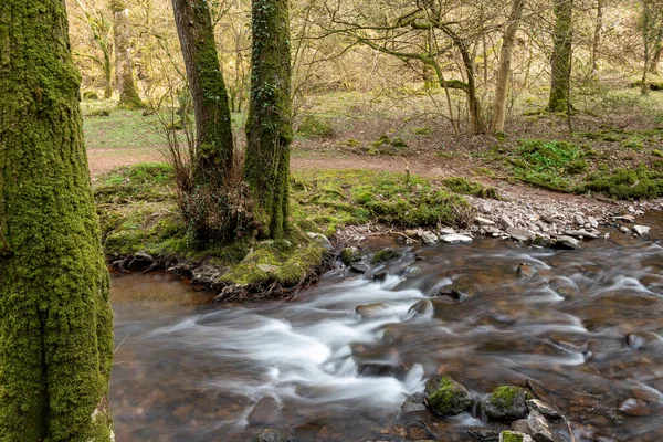 Lång Exponering Horner Water Floden Rinner Genom Horner Skogen Somerset — Stockfoto