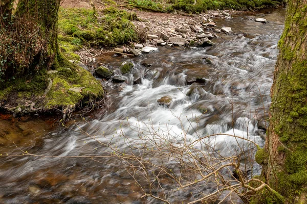 Довгий Час Річка Горнер Тече Через Гірські Ліси Сомерсеті — стокове фото