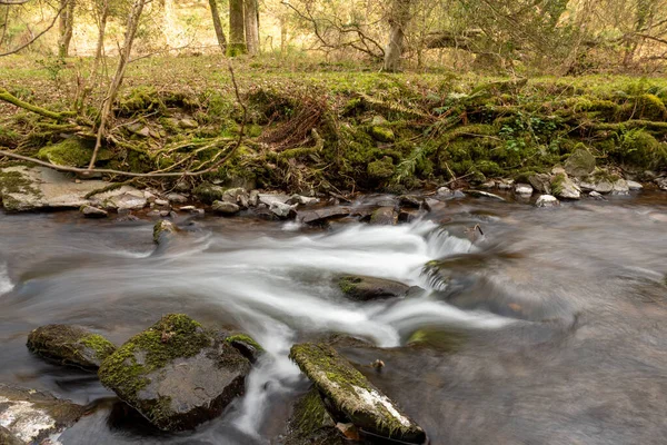 Somerset Teki Horner Ormanı Ndan Akan Horner Nehri Nin Uzun — Stok fotoğraf