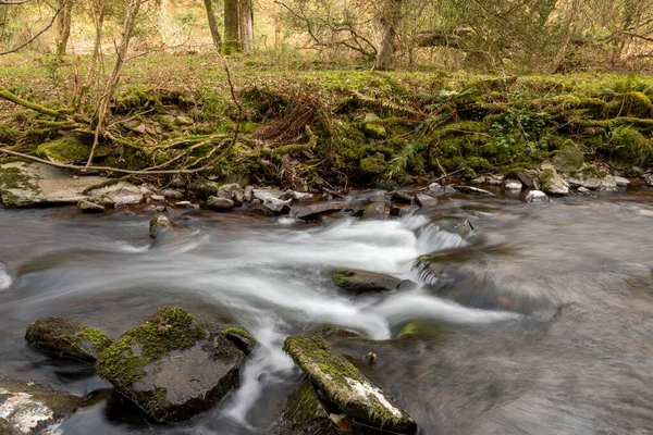 Longa Exposição Rio Horner Water Que Flui Através Bosques Horner — Fotografia de Stock