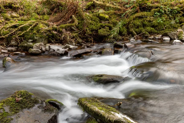 Lång Exponering Horner Water Floden Rinner Genom Horner Skogen Somerset — Stockfoto