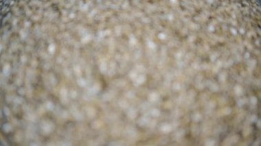 Bir tahıl ambarında yer arpası (hordeum vulgare) yığınının üzerinde odak değiştirme