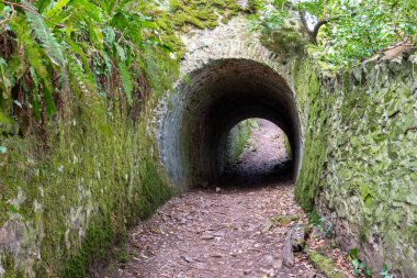 Porlock Weir 'dan Somerset' teki Culbone Kilisesi 'ne kadar güney batı kıyı yolundaki Peri Masalı Tünelleri' nin görüntüsü.