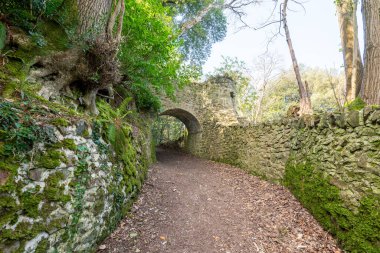 Porlock Weir 'dan Somerset' teki Culbone Kilisesi 'ne kadar güney batı kıyı yolundaki Peri Masalı Tünelleri' nin görüntüsü.