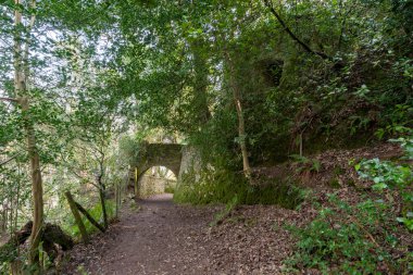 Porlock Weir 'dan Somerset' teki Culbone Kilisesi 'ne kadar güney batı kıyı yolundaki Peri Masalı Tünelleri' nin görüntüsü.