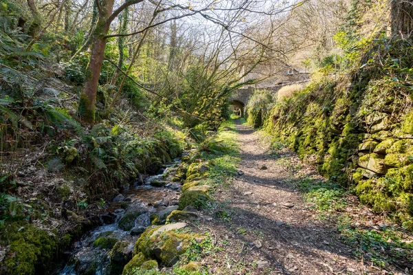 Kilátás Gyalogösvényre Culbone Templom Előtt Lynmouth Felé Tart South West — Stock Fotó