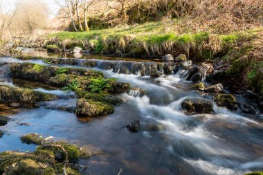 Weir Nehri 'nin Exmoor Ulusal Parkı' ndaki Hırsızlar Köprüsü 'ndeki vadiden geçişi uzun sürdü.