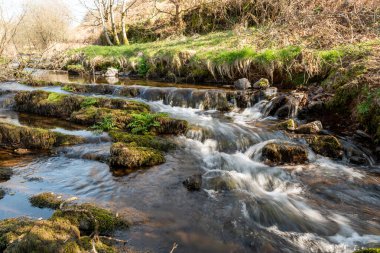 Weir Nehri 'nin Exmoor Ulusal Parkı' ndaki Hırsızlar Köprüsü 'ndeki vadiden geçişi uzun sürdü.