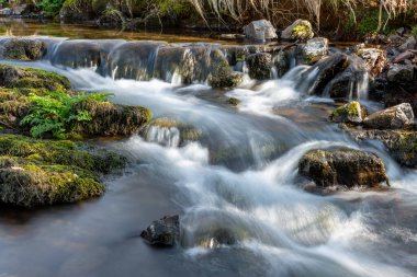 Weir Nehri 'nin Exmoor Ulusal Parkı' ndaki Hırsızlar Köprüsü 'ndeki vadiden geçişi uzun sürdü.