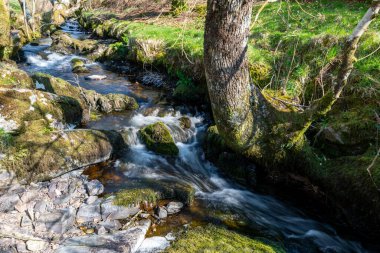 Weir Nehri 'nin Exmoor Ulusal Parkı' ndaki Hırsızlar Köprüsü 'ndeki vadiden geçişi uzun sürdü.
