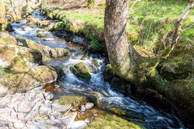 Weir Nehri 'nin Exmoor Ulusal Parkı' ndaki Hırsızlar Köprüsü 'ndeki vadiden geçişi uzun sürdü.