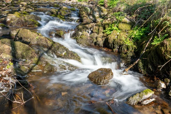 Weir Nehri 'nin Exmoor Ulusal Parkı' ndaki Hırsızlar Köprüsü 'ndeki vadiden geçişi uzun sürdü.