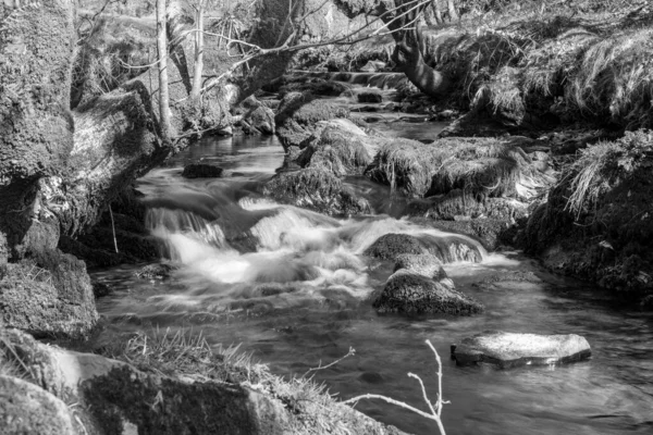 Exmoor National Park Robbers Bridge 계곡을 흐르는 — 스톡 사진