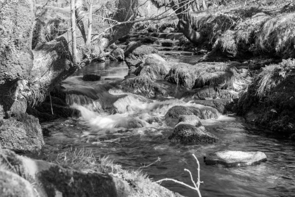 Exmoor National Park Robbers Bridge 계곡을 흐르는 — 스톡 사진