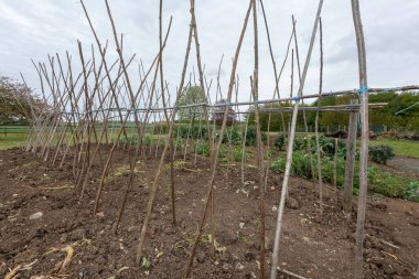 Ev yapımı destekleyici çerçeve koşucu fasulyeleri desteklemeye hazır