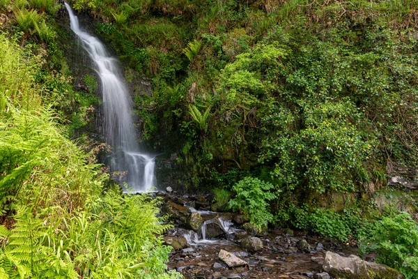 Woody Bay 'den Devon' daki Heddons Mouth 'a kadar Güney Batı Yakası' ndaki Hollowbrook şelalesinin uzun bir görüntüsü.
