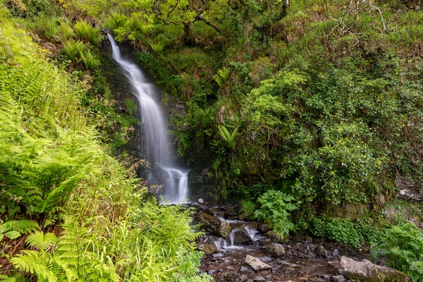 Woody Bay 'den Devon' daki Heddons Mouth 'a kadar Güney Batı Yakası' ndaki Hollowbrook şelalesinin uzun bir görüntüsü.